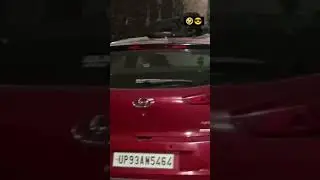 Doggy on the car rooftop 🤣🤣😎💯😛#dogs #funnydog #fundogs