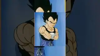 Why Dragon ball is Incomplete without Vegeta?