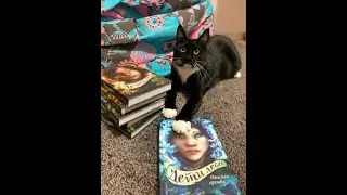 Дети леса. Опасная дружба. Обзор книги.