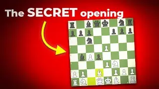 These 5 Chess Openings will Make You Win at Chess