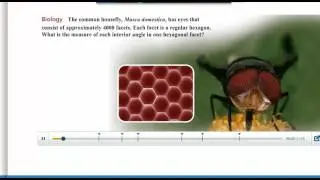 Lesson 6-1:  The Polygon Angle Sum Theorems