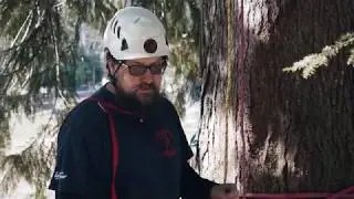 Petzl I'D (2019) - What's new?