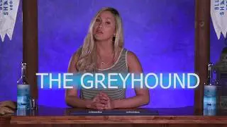 Blue Shark Vodka:: The Greyhound