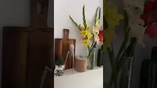 Episode 45 : quelques petits avant/après de la cuisine et du salon salle à manger  #renovation