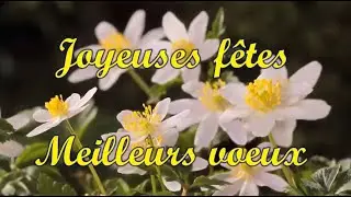 Voeux 2023