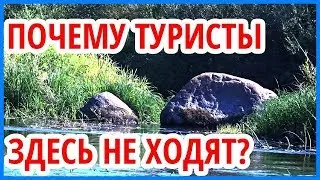 Поход по реке Медведица. Сплав на байдарке. Река Медведица до Городковского