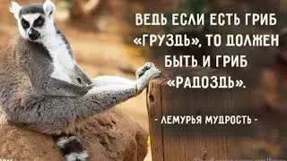Tom Ford почти задаром/Парфюм дня/Духи вёдрами/Кто куда, а мы в лес на прогулку