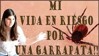 QUE PASA SI TE PICA UNA GARRAPATA? [ENFERMEDAD DE LYME]