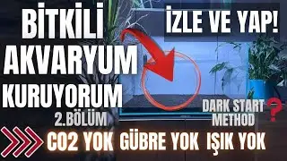 BİTKİLİ AKVARYUM DA ALG RİSKİNİ BÖYLE AZALT ! #akvaryum #aquarium #aquascape #bitkiliakvaryum