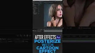 Posterizing an image in After Effects with the Cartoon tool