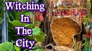 A Day in the Life of A Real Witch | Witching In The City