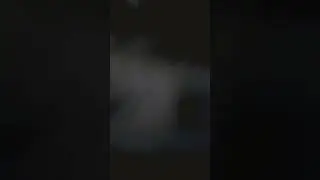 джинго делс🤑🤑🤑