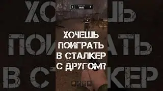 Как поиграть в сталкер С ДРУГОМ?! Туториал [ГАЙД] 