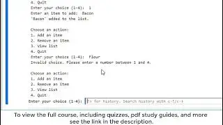 Beginner Python Project: Add, Remove & View Items with Loops (Intro to Python)