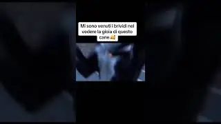 Finalmente trova una casa, guarda la sua reazione