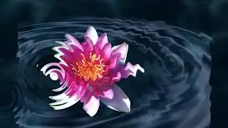 Meditation for Spiritual Openess by Elizabeth Bartolon
