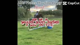 “1000 voices howling in me head”