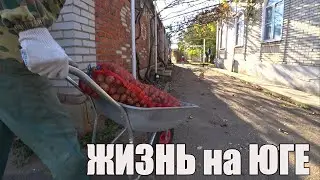 ЖИЗНЬ НА ЮГЕ \ ПОЧЁМ КАРТОШКА. ИЗ ГОРОДА В ДЕРЕВНЮ Лайф. Серия №107