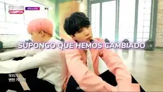 Spring Day BTS Sub.español