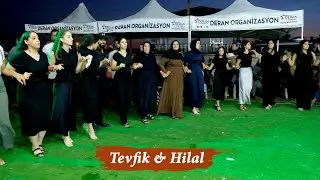 Tevfik & Hilal -Düğün Töreni- Adar Arjin-Botan Roj- Kulu Tuzyaka- Halaylar BaşaranVideo®