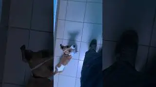 Суетолог /ч.2 (полное видео уже в ТГ)