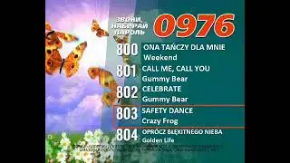 Реклама на BRIDGE TV 2012 (23/70)