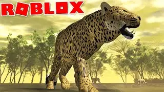 Wild savannah leopard life