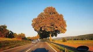 Driving in Germany 🇩🇪 From Offenbach to Frankfurt am Main #roadtrip #germany