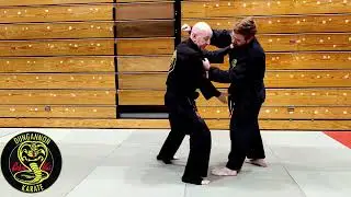 Passai Bunkai - Part 14