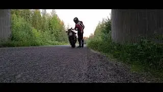 Yamaha R6 SC Project exhaust - idle and revving under bridge (LOUD!)