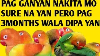 SA MGA MAGPAPARIS NG B2B RED EYE PANOORIN MUNA