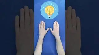 Если не смог - МОЗГ пора менять... Если с первого раза - гений, мастер, чудо🧠🤯 