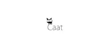 Caat / Задание 11. Avid Media Composer