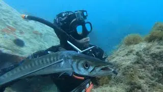 Chasse sous marine côte d'azur mai 2020