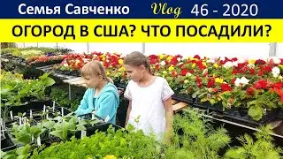Огород в Америке.  Что мы посадили? Покупка рассады. Семья Савченко