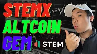 STEMX! A REVOLUTIONARY BLOCKCHAIN BETTING TOKEN EXCHANGE ! (SPORTS TEAMS)