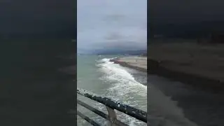 🏝️