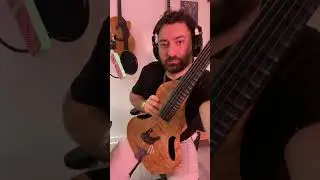 you’ve never seen an instrument like this before #guitar #guitarviol #composer #videogamemusic
