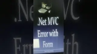 What is .NET error?