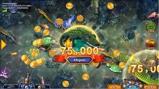 Alligator 75K (100 Bet)