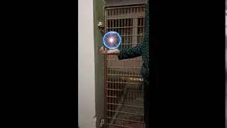 Rasengan.exe 