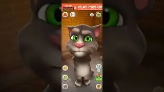 Talking Tom Cat #shorts