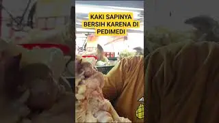 SOTO DJADOEL H. YANTO | RAJANYA KAKI SAPI 