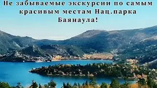 6 июня 2024 г.