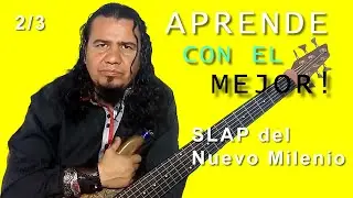PALM SLAP 2/3 | Curso Completo | Clases para BAJO ELÉCTRICO | 🎸 🤘😎 HD