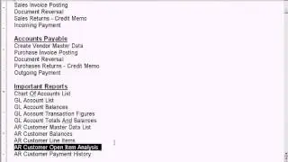 SAP AR Customer Open Item Analysis