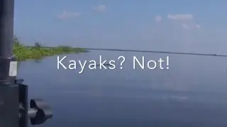 Chasing Gators with Mr. John