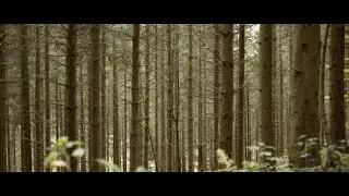 Sony a7III Cinematic Video - first test -
