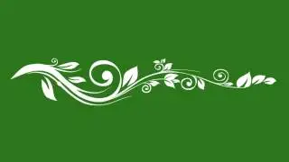 Flower animation green screen free hd