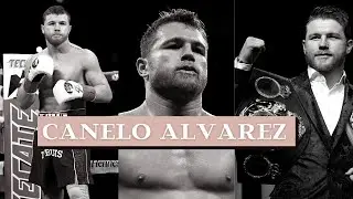Canelo Alvarez - Highlights ᴴᴰ